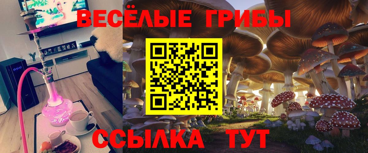 Псилоцибиновые грибы ЛСД Новоуральск