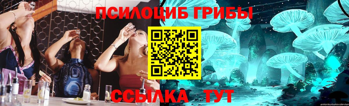 Новоуральск  Псилоцибиновые грибы GOLDEN TEACHER  Вход с VPN 